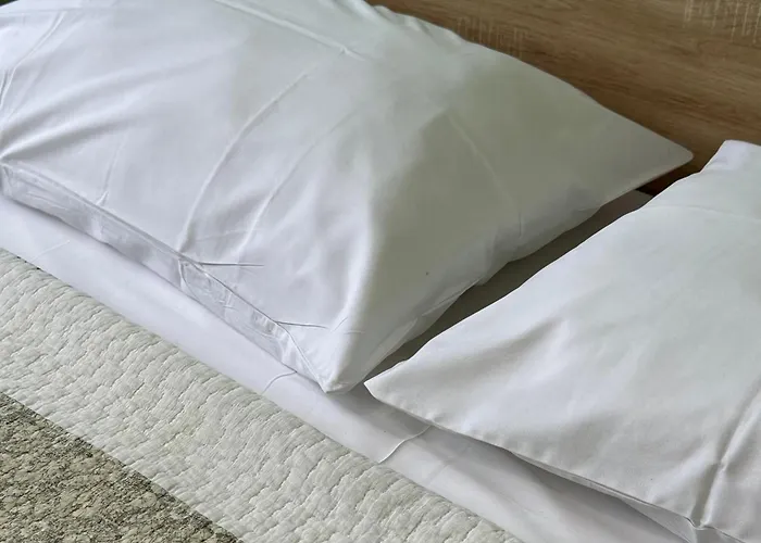 ريزيدنسا كالتير دراس *